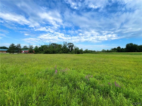 Tiny photo for Rt-31 ST, Elbridge, NY 13080 (MLS # S1704487)