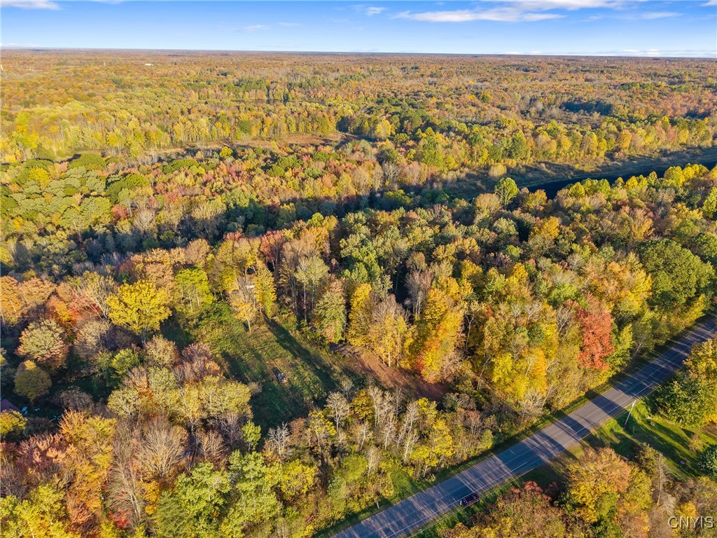 252 Paddy Lake Road