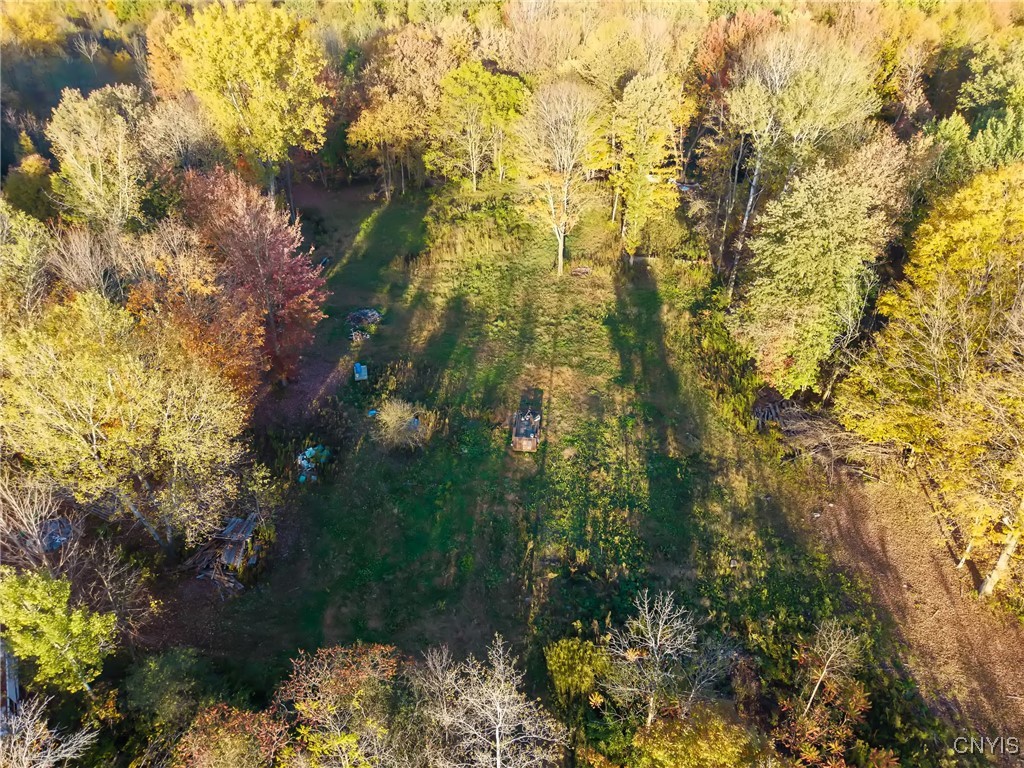 252 Paddy Lake Road