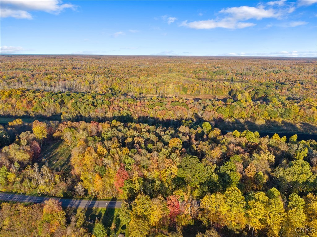 252 Paddy Lake Road