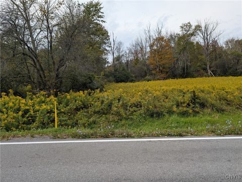 Vacant Land For Sale - Gorton Road<br/> Hamilton, NY 13346