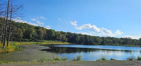 Vacant Land For Sale - Creamery Road<br/> Richford, NY 13835