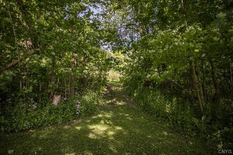 Tiny photo for 2495 Erieville Road, Nelson, NY 13061 (MLS # S1686860)