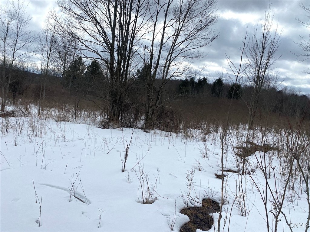 Brad Adams Road, Wellsville, New York image 21