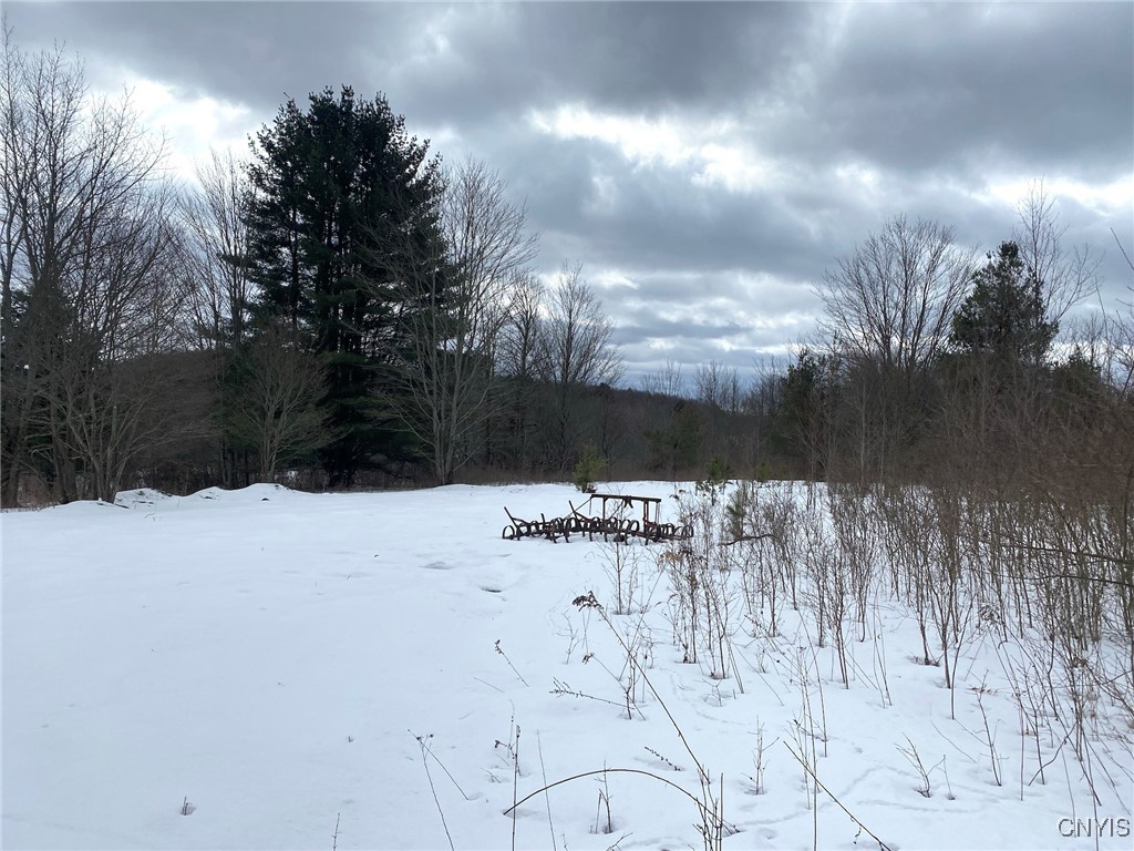 Brad Adams Road, Wellsville, New York image 24