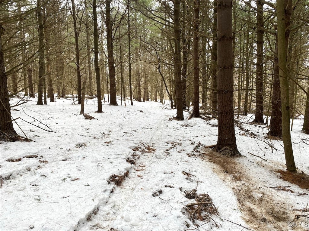 Brad Adams Road, Wellsville, New York image 16