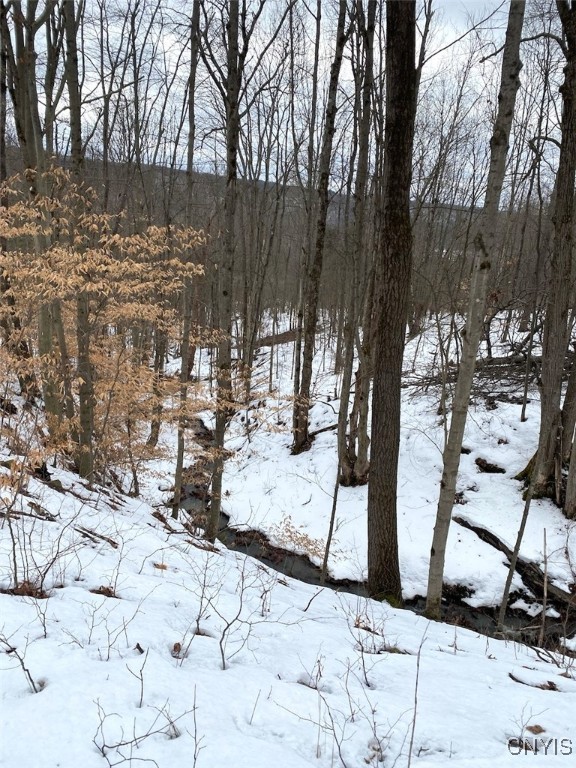 Brad Adams Road, Wellsville, New York image 31