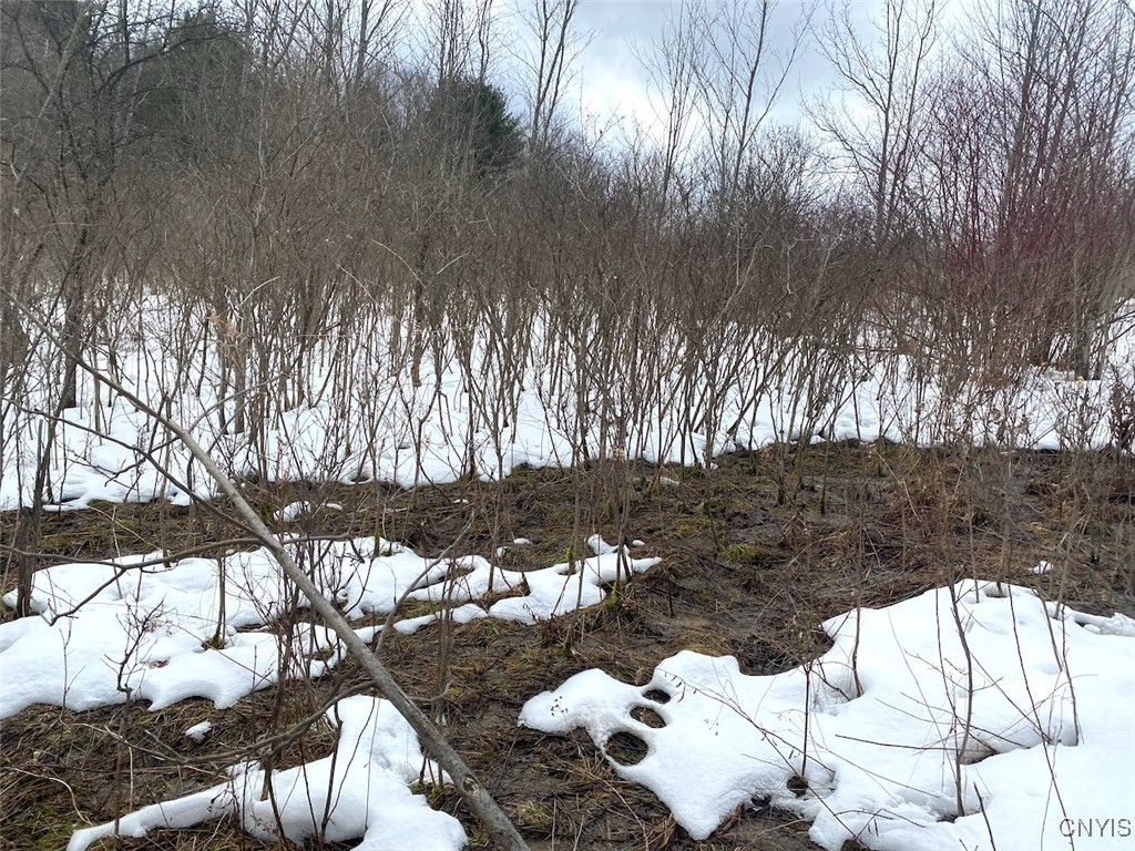 Brad Adams Road, Wellsville, New York image 12