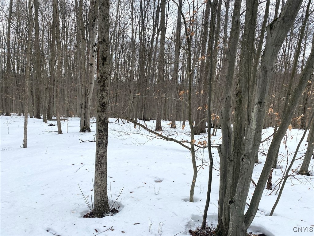 Brad Adams Road, Wellsville, New York image 23