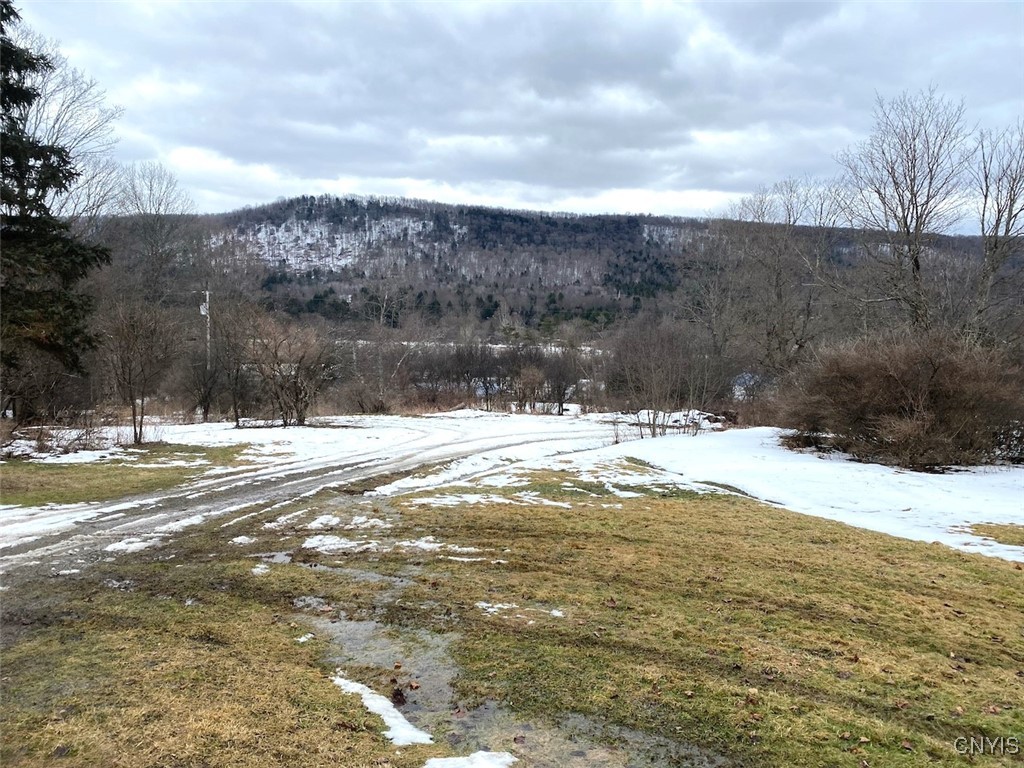 Brad Adams Road, Wellsville, New York image 1