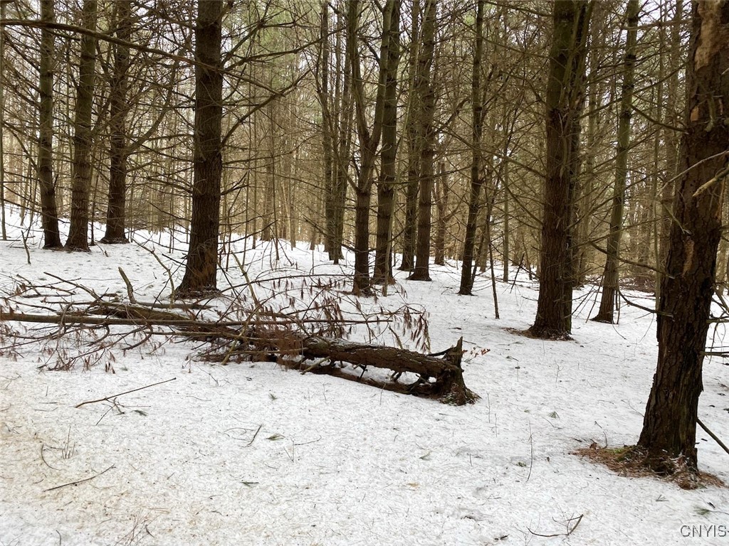 Brad Adams Road, Wellsville, New York image 33