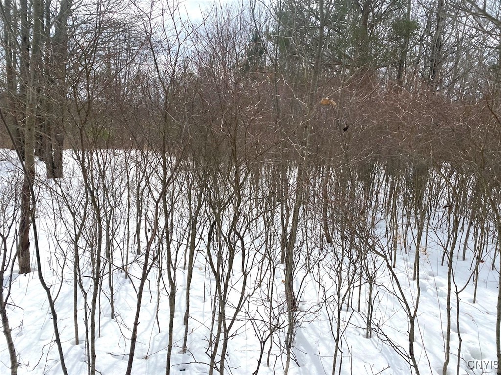 Brad Adams Road, Wellsville, New York image 15