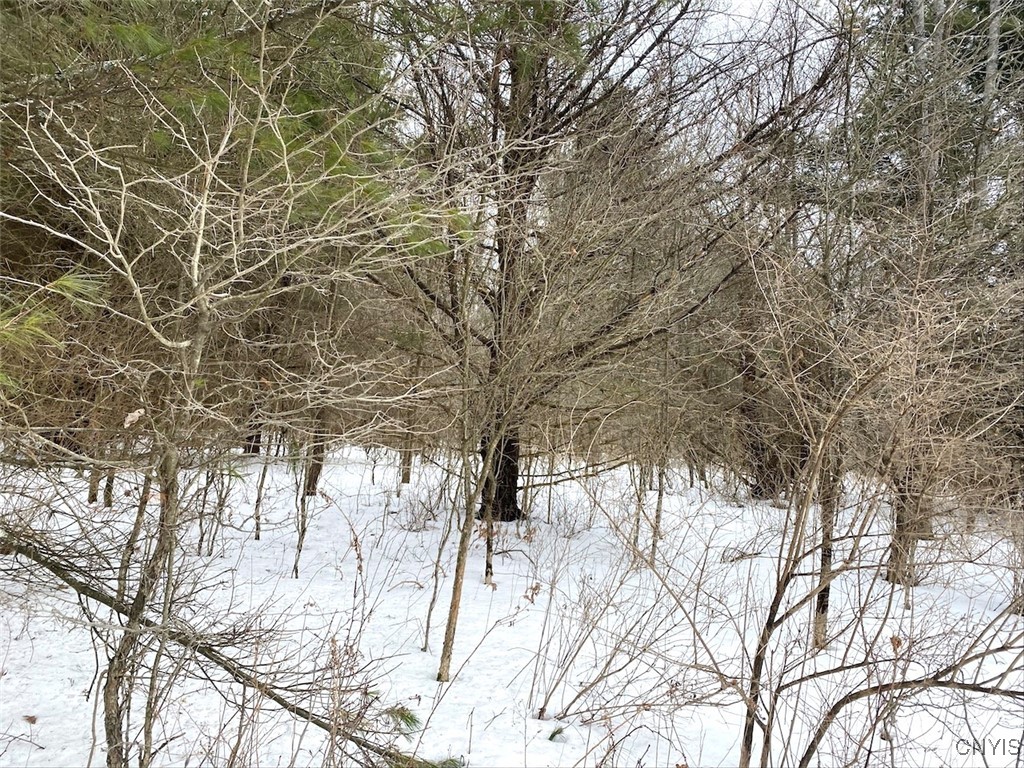 Brad Adams Road, Wellsville, New York image 28