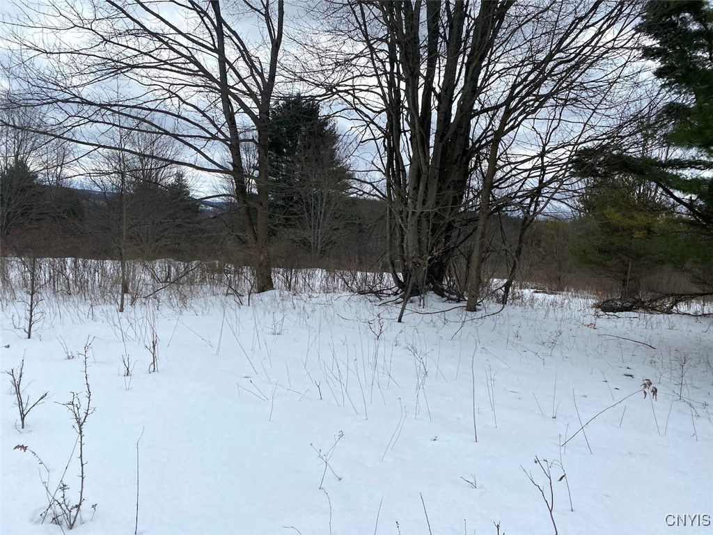 Brad Adams Road, Wellsville, New York image 26