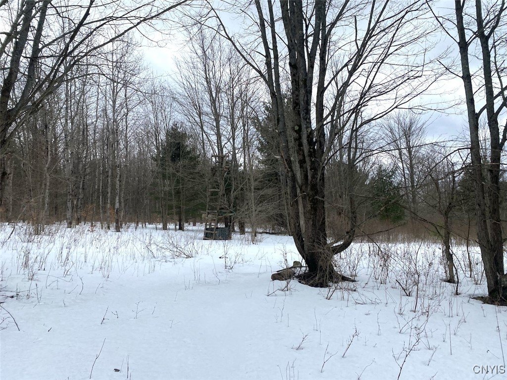 Brad Adams Road, Wellsville, New York image 11