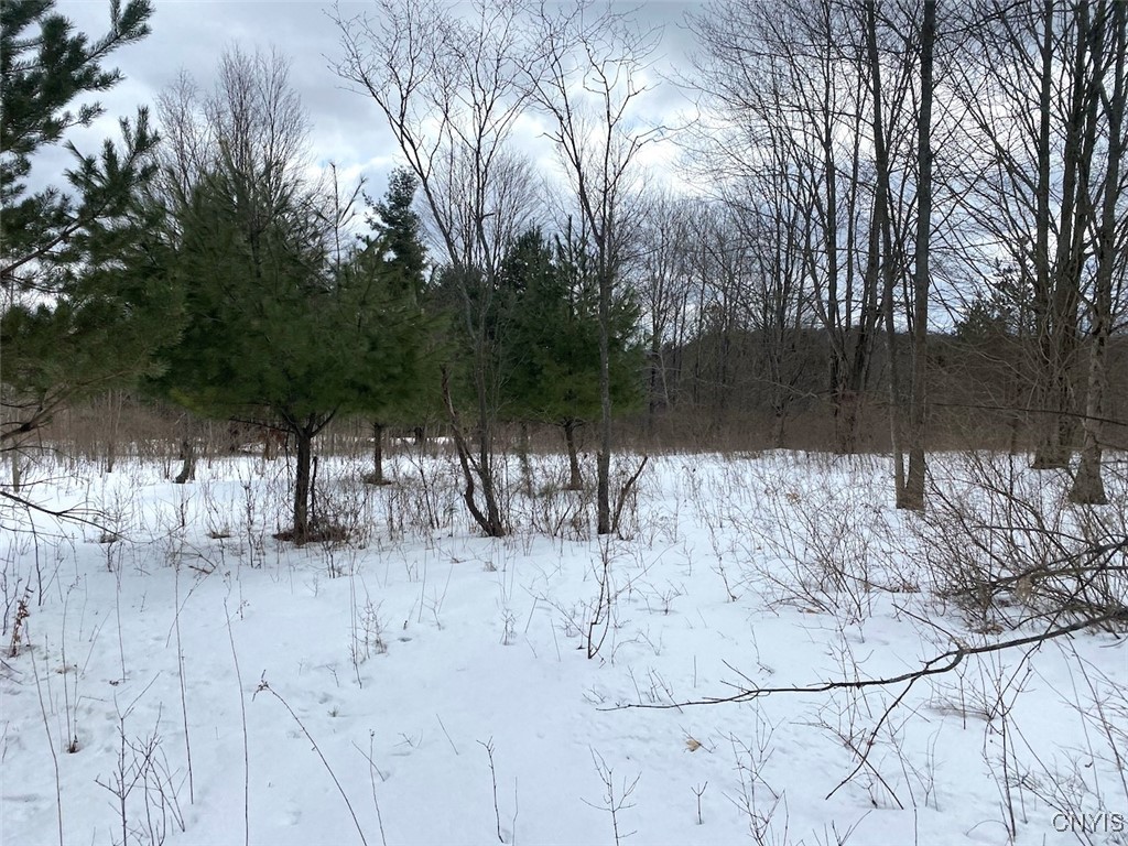 Brad Adams Road, Wellsville, New York image 14