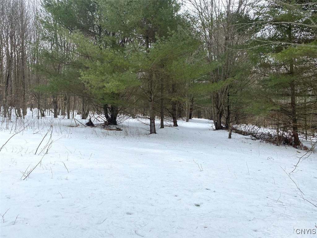 Brad Adams Road, Wellsville, New York image 27