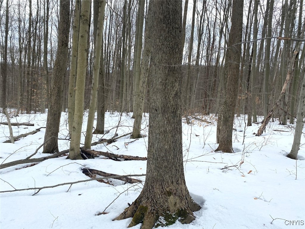 Brad Adams Road, Wellsville, New York image 20