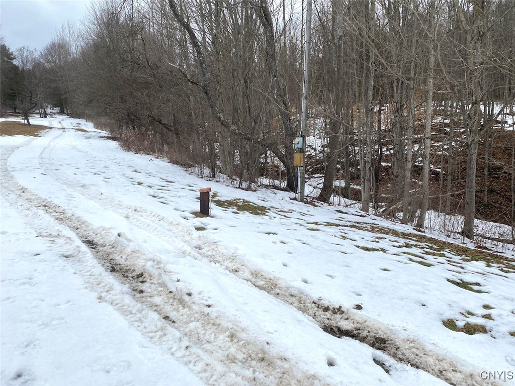 Brad Adams Road, Wellsville, New York image 7