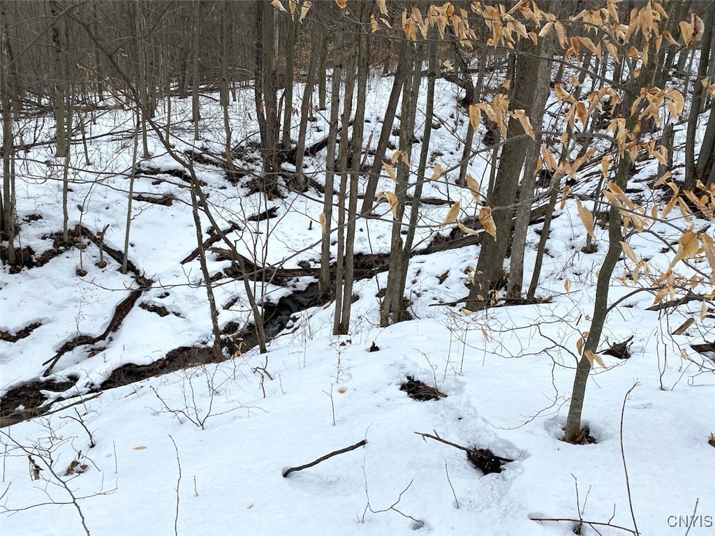 Brad Adams Road, Wellsville, New York image 25