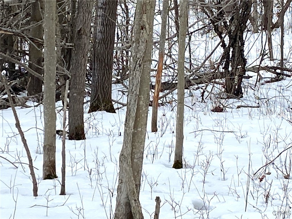 Brad Adams Road, Wellsville, New York image 13