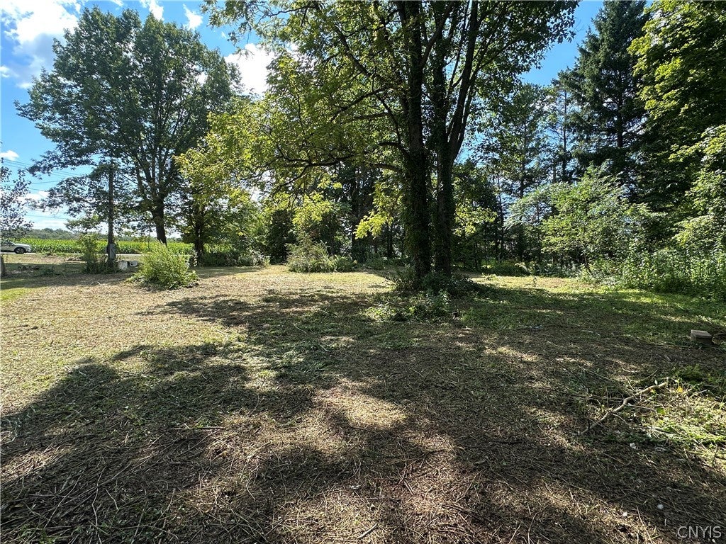 7747 Stone Road