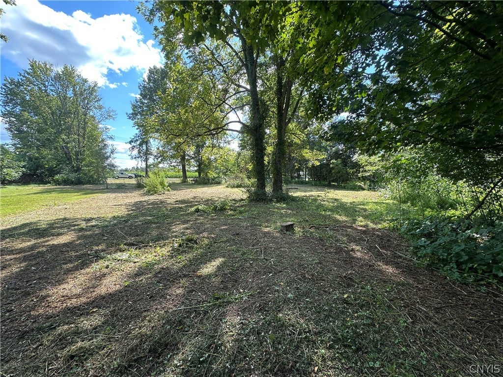 7747 Stone Road
