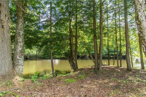 Tiny photo for Parcel A Beaver Trail, Boonville, NY 13301 (MLS # S1702471)
