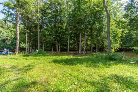 Tiny photo for Parcel A Beaver Trail, Boonville, NY 13301 (MLS # S1702471)
