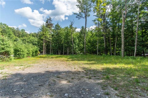 Tiny photo for Parcel A Beaver Trail, Boonville, NY 13301 (MLS # S1702471)