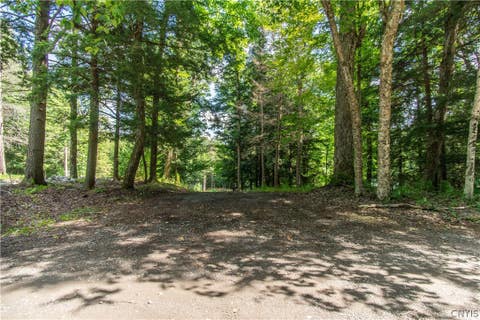 Tiny photo for Parcel A Beaver Trail, Boonville, NY 13301 (MLS # S1702471)