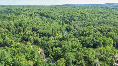 Tiny photo for Parcel A Beaver Trail, Boonville, NY 13301 (MLS # S1702471)