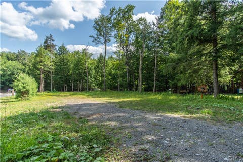Tiny photo for Parcel A Beaver Trail, Boonville, NY 13301 (MLS # S1702471)