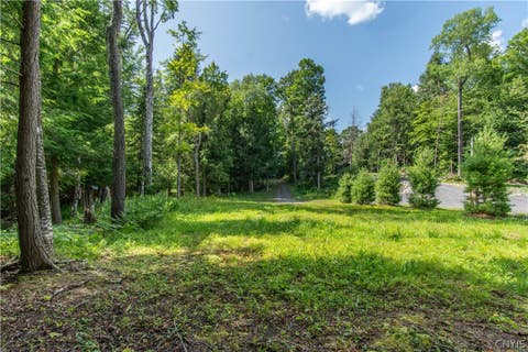 Tiny photo for Parcel A Beaver Trail, Boonville, NY 13301 (MLS # S1702471)