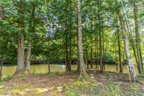 Tiny photo for Parcel A Beaver Trail, Boonville, NY 13301 (MLS # S1702471)