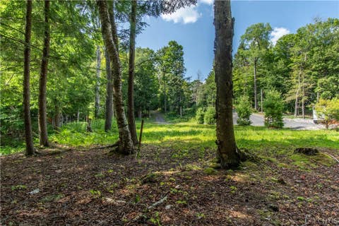 Tiny photo for Parcel A Beaver Trail, Boonville, NY 13301 (MLS # S1702471)