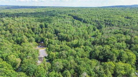 Tiny photo for Parcel A Beaver Trail, Boonville, NY 13301 (MLS # S1702471)