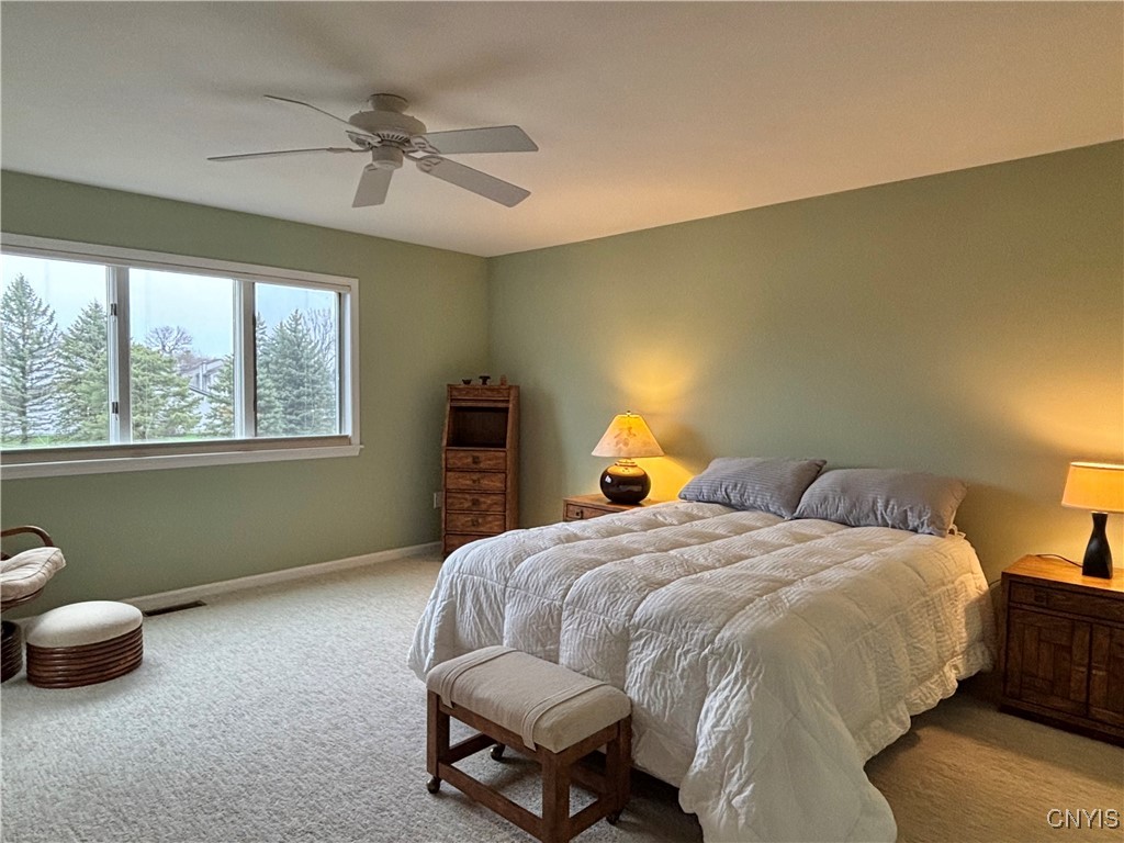 147 Summerhaven Drive, Manlius, New York image 38
