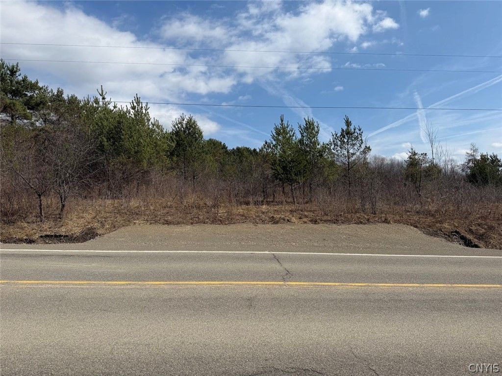 Photo of White Creek Road, Friendship, NY 14739 (MLS # S1666745)