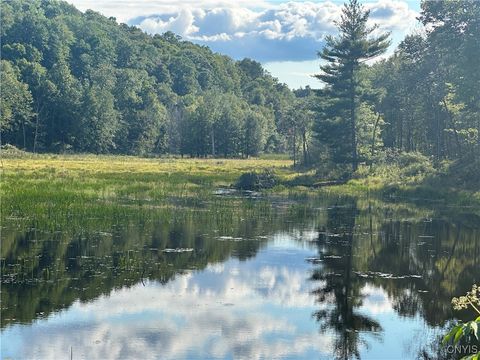 Graham Road Harrisville NY 13648