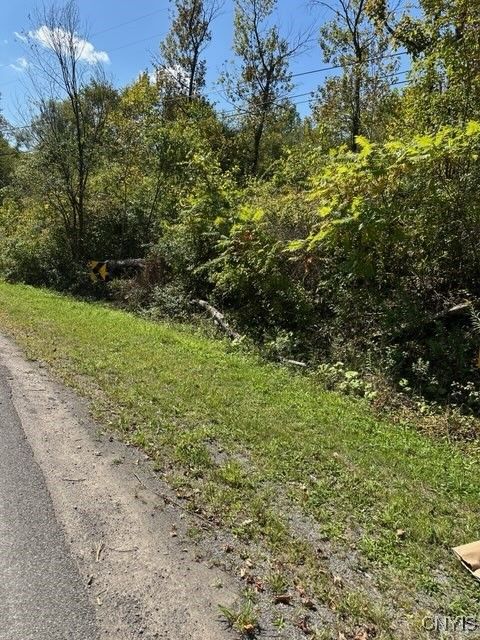 Clark Hollow Road La Fayette NY 13084