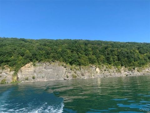 0 Off Morris Run Rt-41 Skaneateles NY 13152