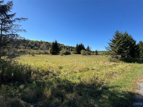Vacant Land For Sale - County Road 96<br/> Wayne, NY 14840
