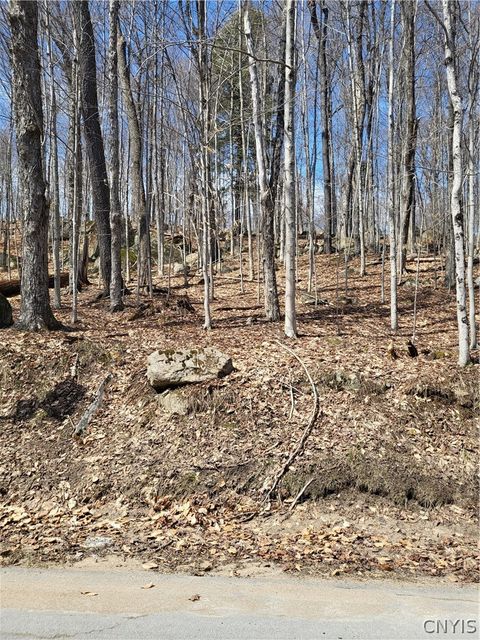 Photo of Hollywood Road, Webb, NY 13420 (MLS # S1671801)