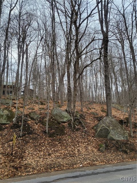 Photo of Hollywood Road, Webb, NY 13420 (MLS # S1671801)