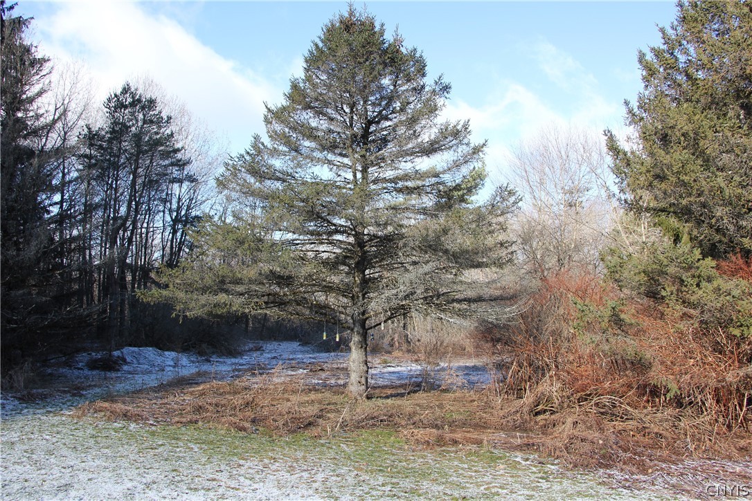 2841 Johnnycake Hill Road