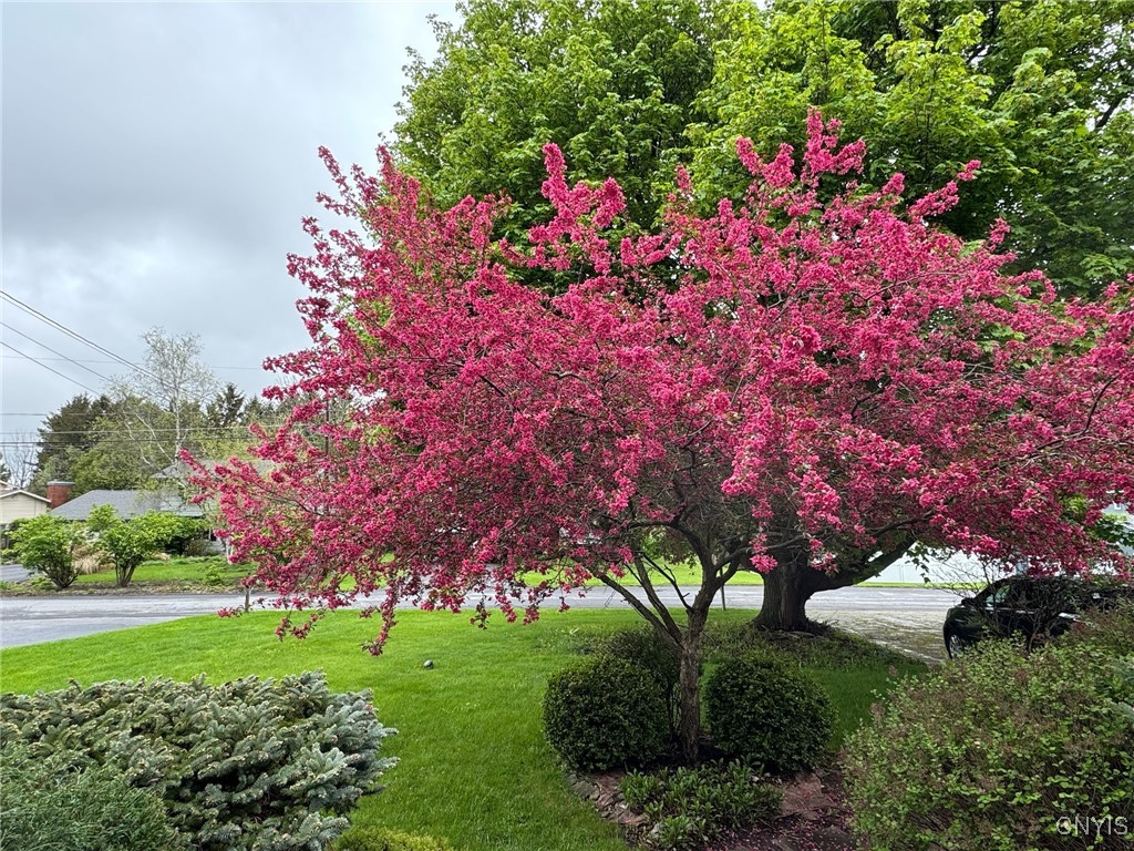 Camillus, New York 13031, United States, 4 Bedrooms Bedrooms, ,2 BathroomsBathrooms,Residential,Pending,153954