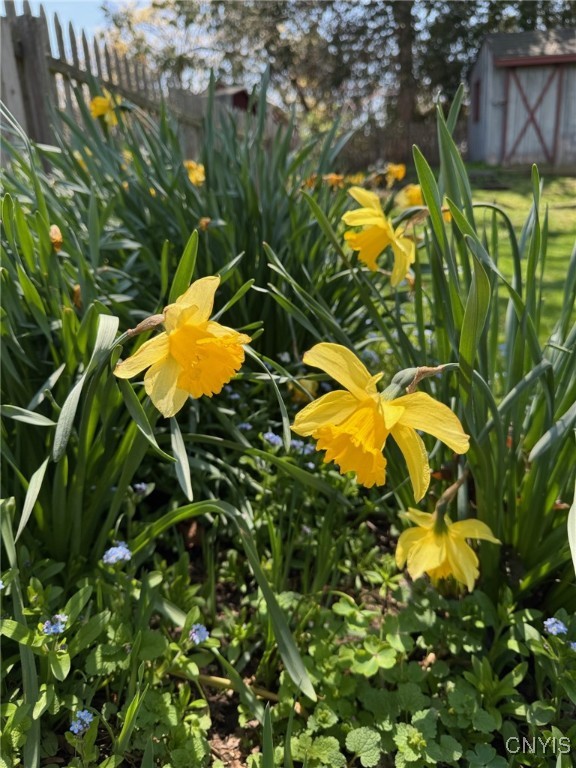 Camillus, New York 13031, United States, 4 Bedrooms Bedrooms, ,2 BathroomsBathrooms,Residential,Pending,153954