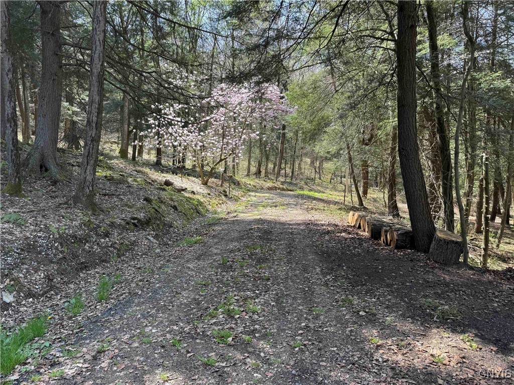 1127 Little Loop Road, Portville, New York image 37