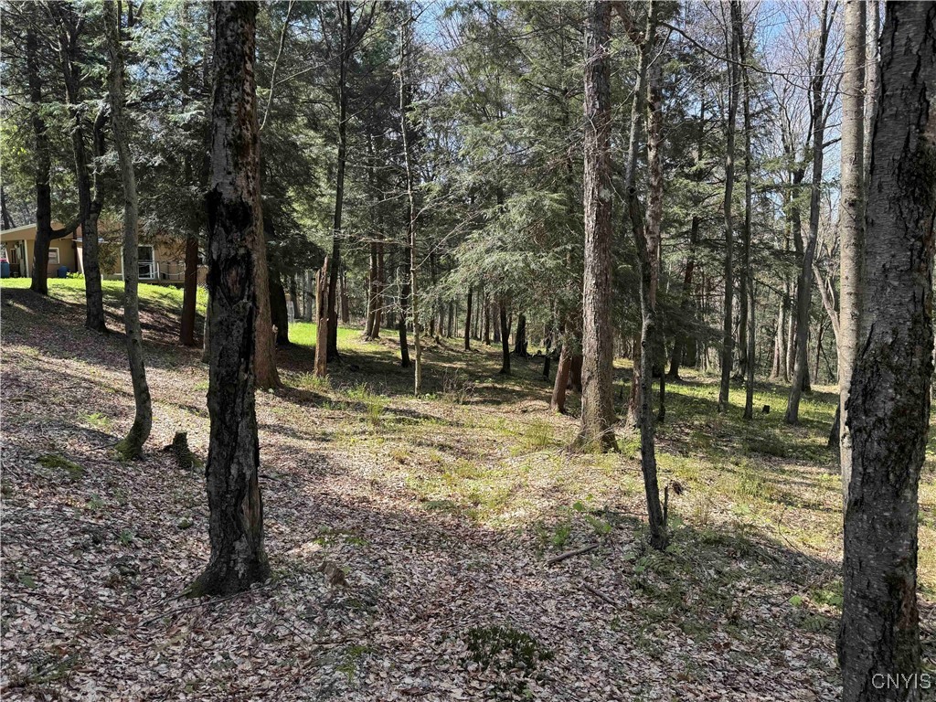 1127 Little Loop Road, Portville, New York image 36